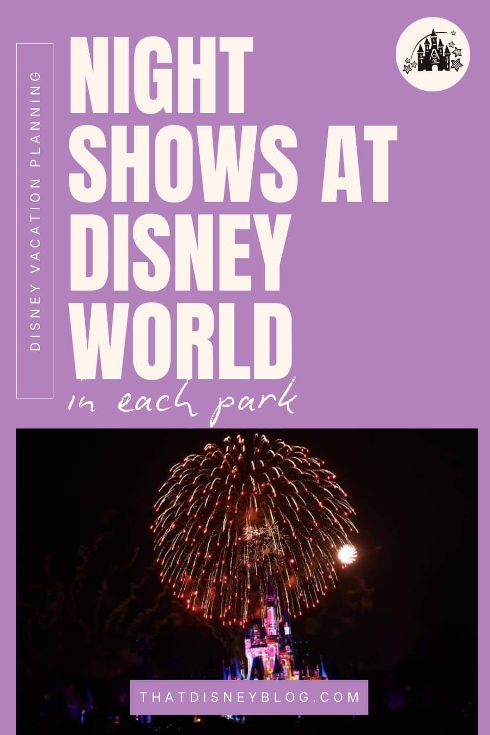 Disney World Nighttime Shows and Fireworks