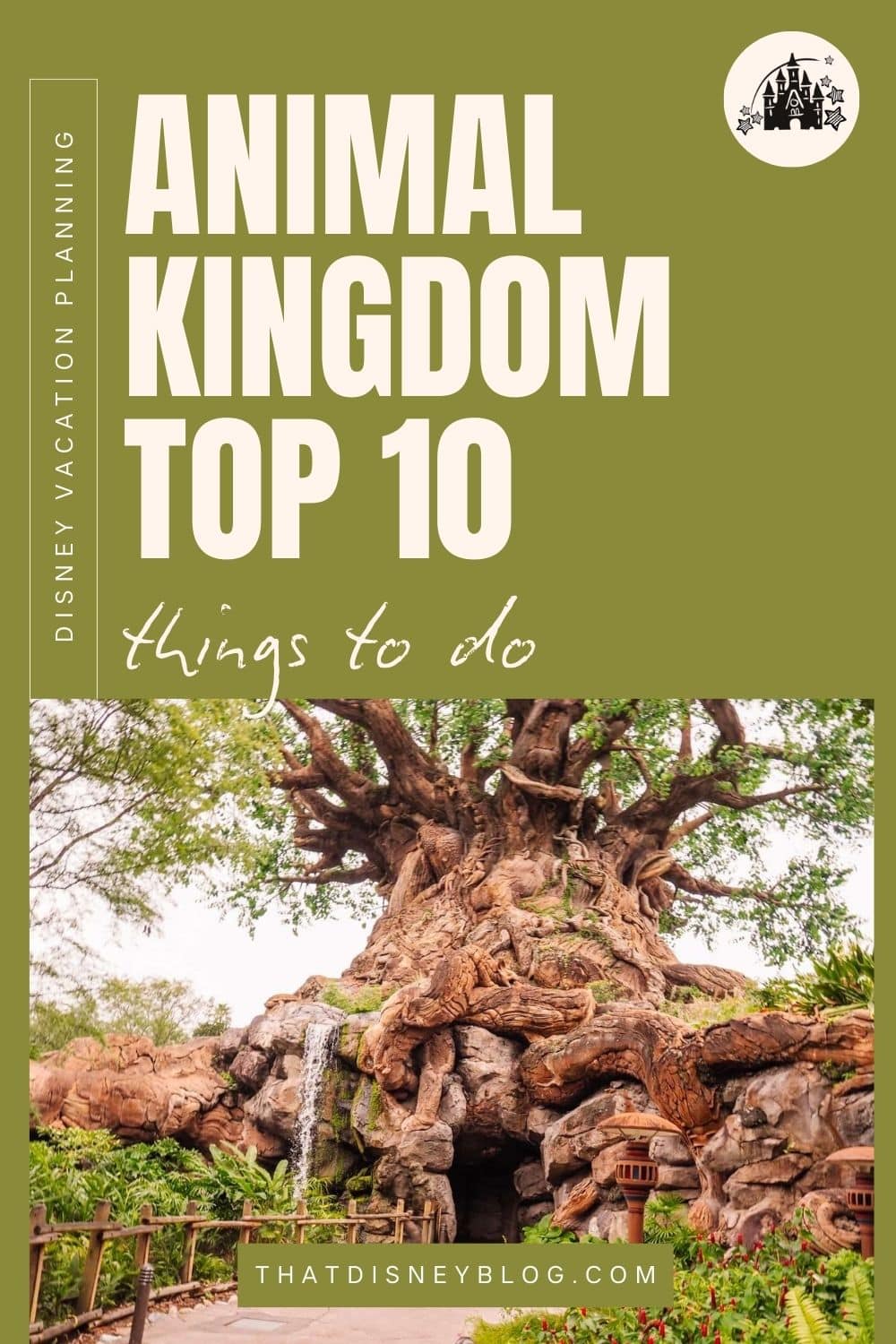 top 10 things to do at Animal Kingdom Parl