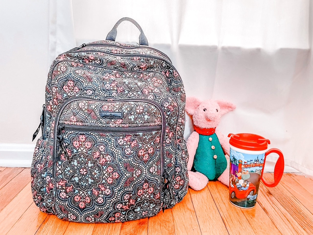 Disney Park Backpack