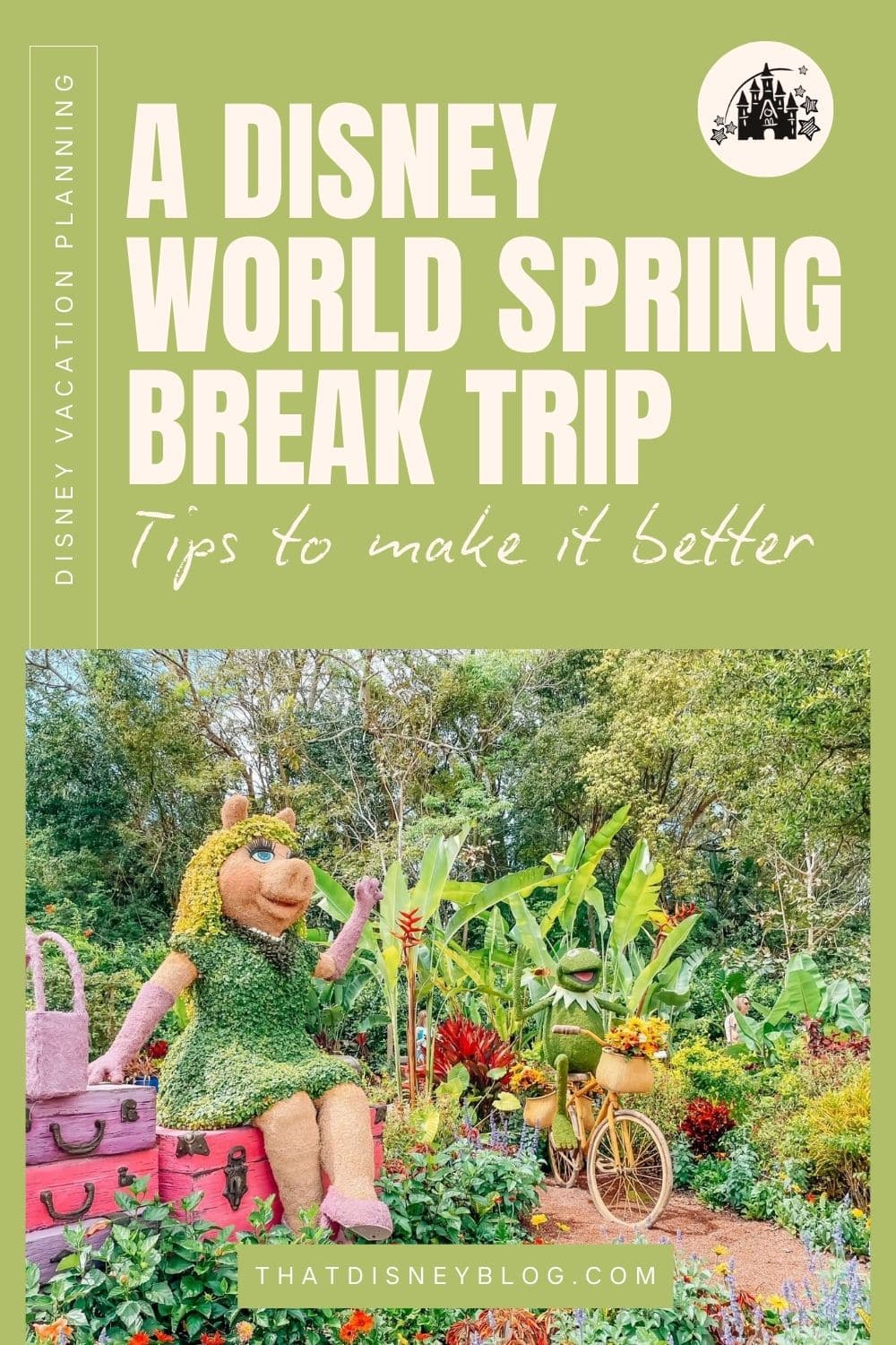 Disney World Spring Break Trip