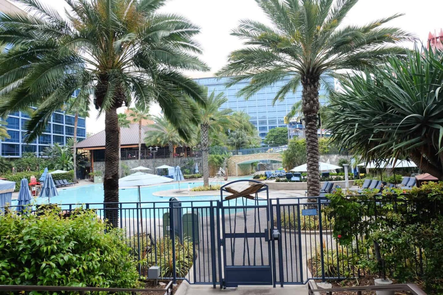 Disneyland Hotel Pools