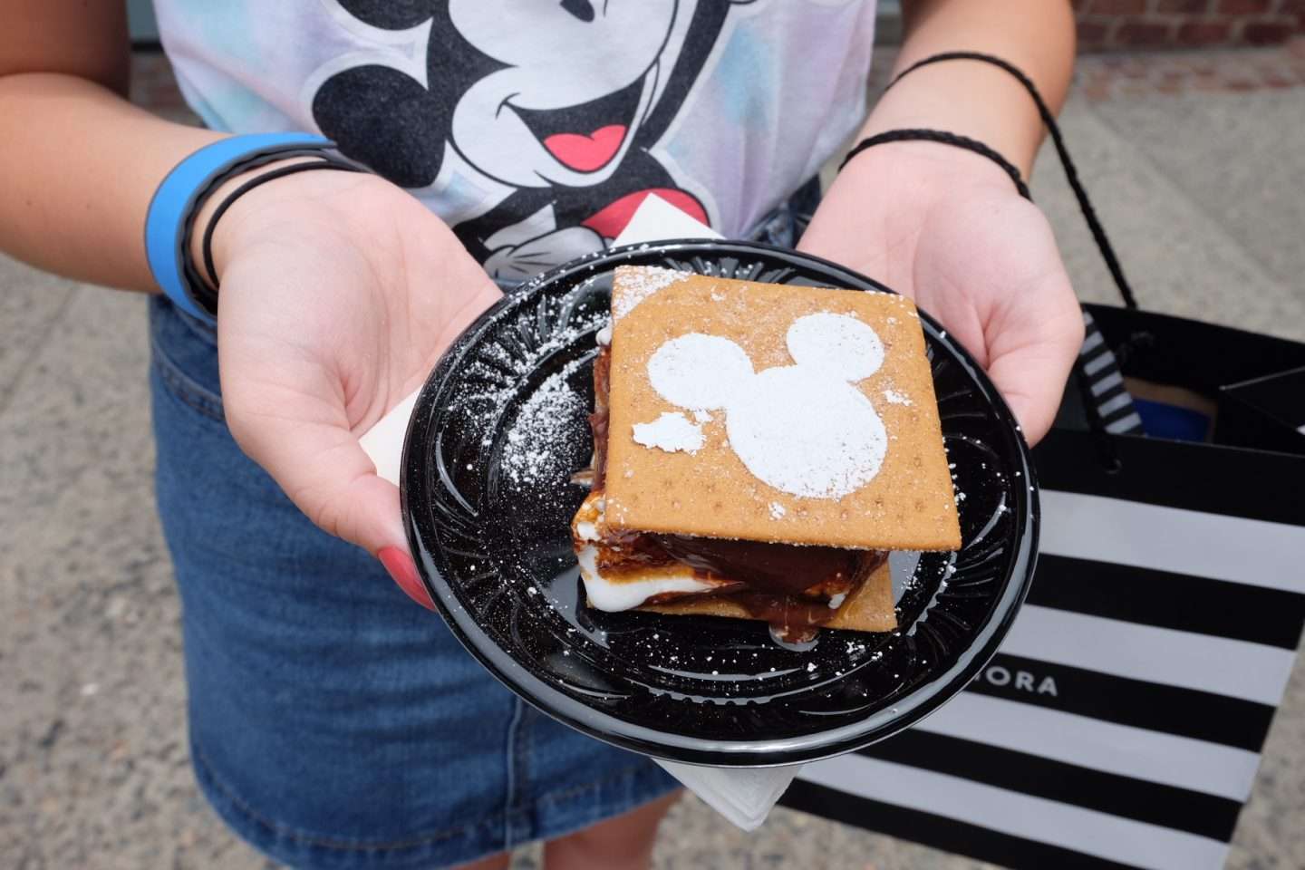 The Ganachery S'mores Disney Springs