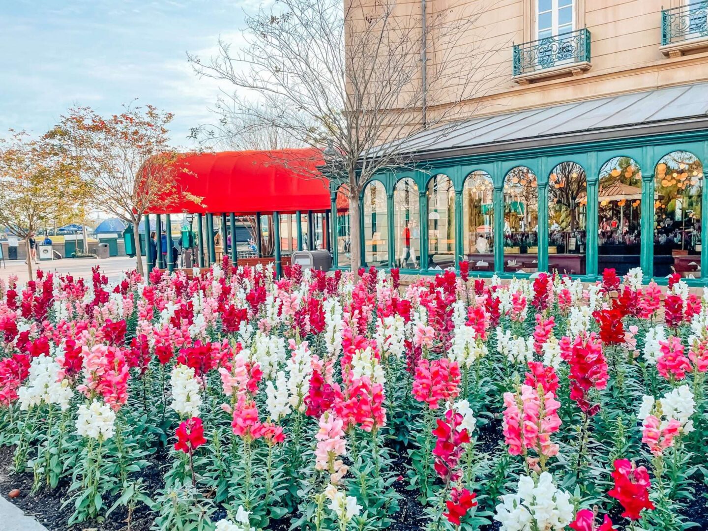 Epcot France